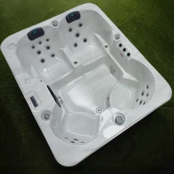 Jacuzzi exterior / interior – SPA WORLD Atlanta H-06 Silver White